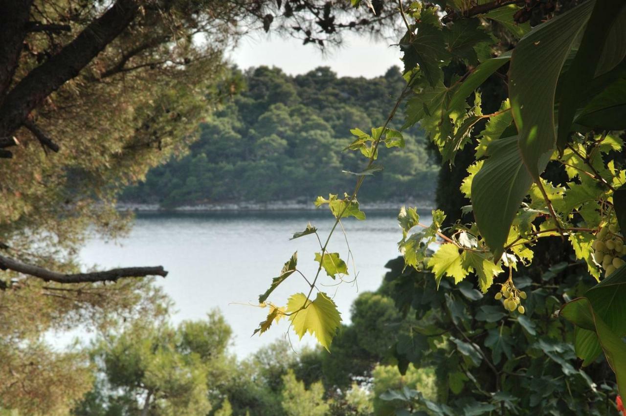 Ferienwohnung Luka Mali Lošinj Exterior foto